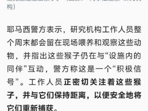 猴子高爆炸铭文背后的秘密与启示：解读灵长动物的潜在力量与警示价值