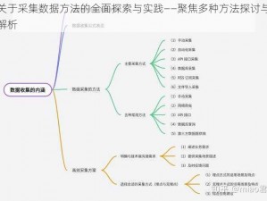 关于采集数据方法的全面探索与实践——聚焦多种方法探讨与解析