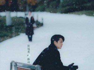 《雪地红影下的三星之旅：23年的荣耀与传奇》