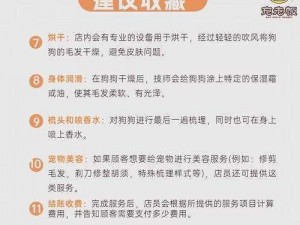 天天打波利宠物洗练方法深度解析：全面揭秘洗练技巧，提升宠物实力进阶指南