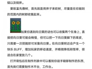 泰拉瑞亚全新开启无限法力模式，攻略揭秘无限法力值激活秘技