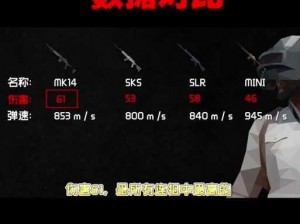 MK12与Mini14：深度解析性能属性对比分析