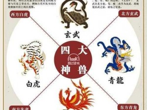 三国之秘：圣兽玄武的神秘激活方法