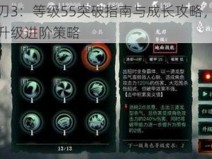 影之刃3：等级55突破指南与成长攻略，深入解析升级进阶策略