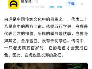 石器时代起源白虎星虎属性图鉴深度解析：图腾崇拜与自然象征的融合