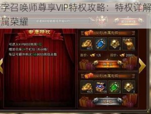 十字召唤师尊享VIP特权攻略：特权详解与专属荣耀