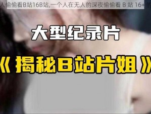 一个人偷偷看B站16B站,一个人在无人的深夜偷偷看 B 站 16+ 的视频