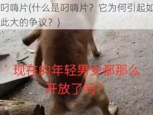 叼嗨片(什么是叼嗨片？它为何引起如此大的争议？)