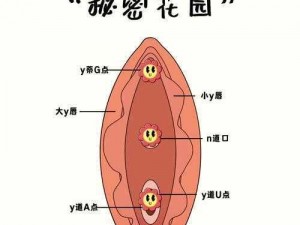 小嫩xB性开放-小嫩 xB 性开放：探索性爱的新领域