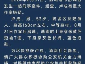 关于通缉加布拉坎任务的紧急行动计划与全球追捕行动