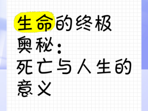 探索生命终点：死亡过程的奥秘与意义