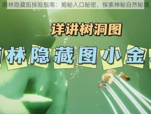 雨林隐藏图探险指南：揭秘入口秘密，探索神秘自然秘境