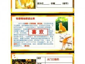 探索猫之城的奥秘：开拓者测试资格获取方式全解析