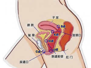 大荫蒂A高潮699【大荫蒂 A 高潮 699：探索性爱的无限可能】