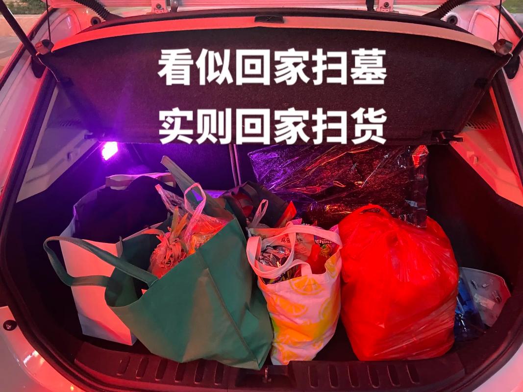 小扫货能么多叫出来公交车:一次特别的出行体验