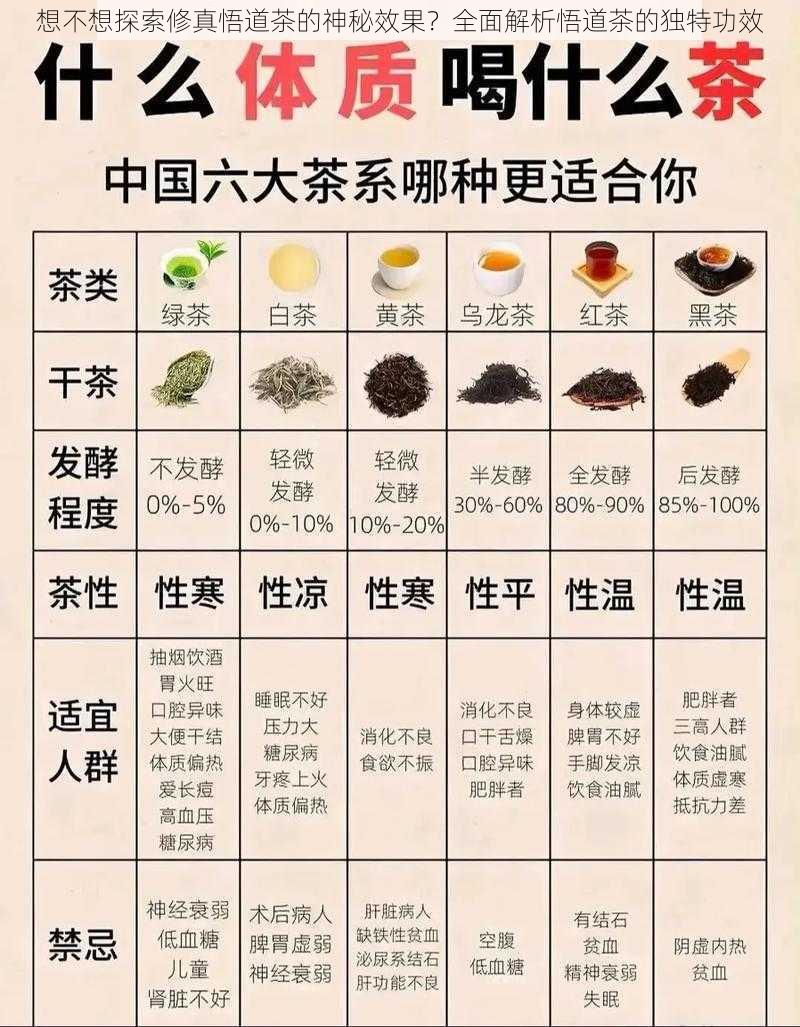 想不想探索修真悟道茶的神秘效果？全面解析悟道茶的独特功效