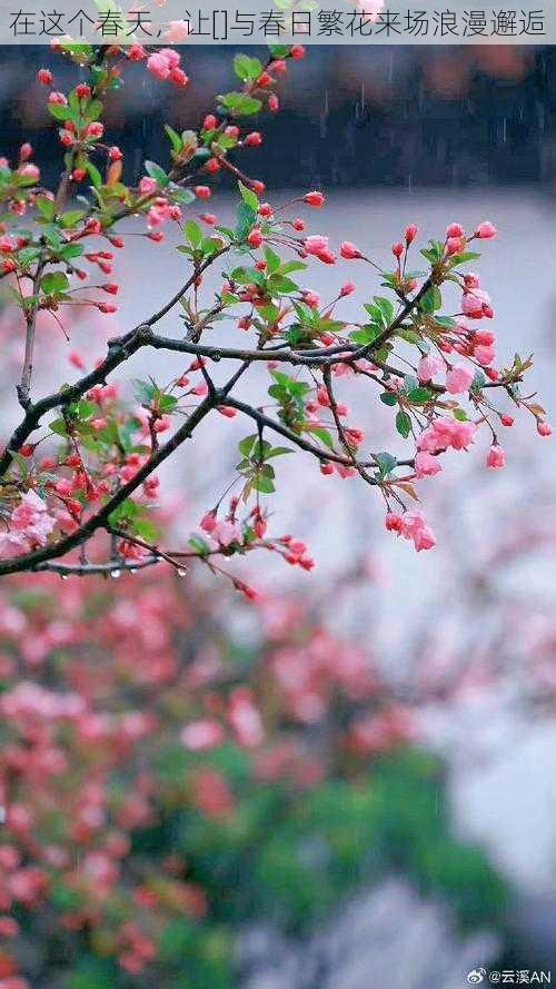 在这个春天，让[]与春日繁花来场浪漫邂逅