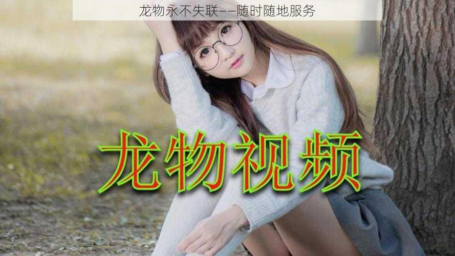 龙物永不失联——随时随地服务