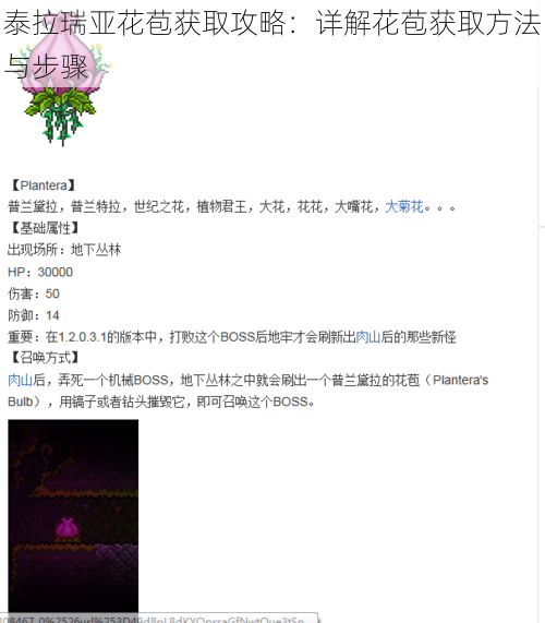 泰拉瑞亚花苞获取攻略:详解花苞获取方法与步骤