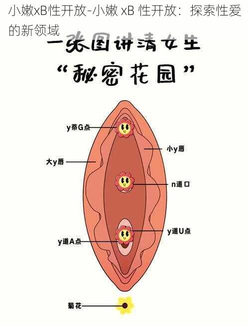 小嫩xB性开放-小嫩 xB 性开放：探索性爱的新领域