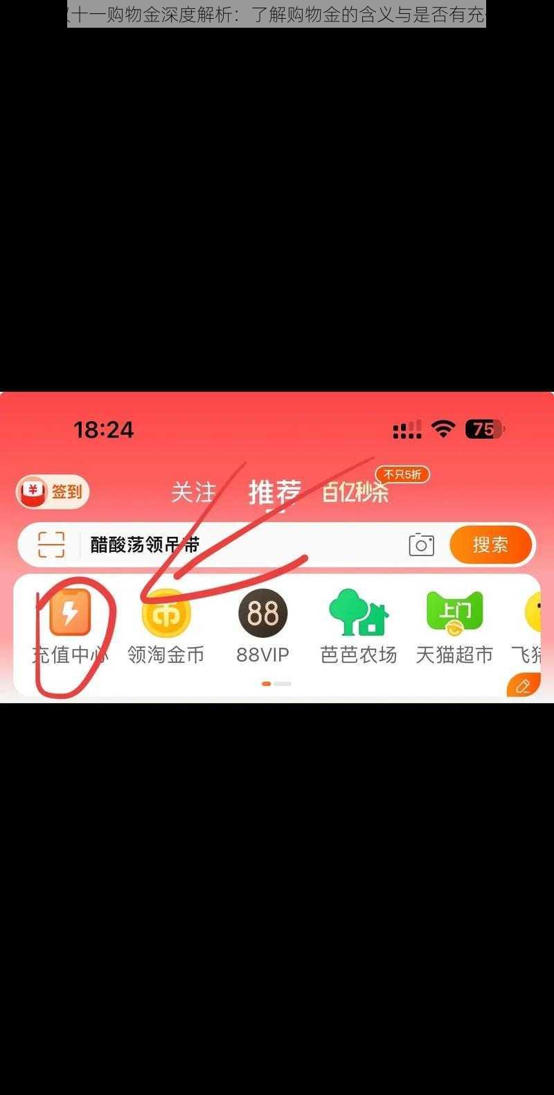 淘宝双十一购物金深度解析：了解购物金的含义与是否有充值必要