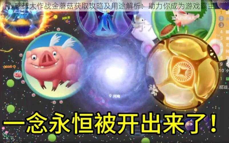 球球大作战金蘑菇获取攻略及用途解析：助力你成为游戏霸主