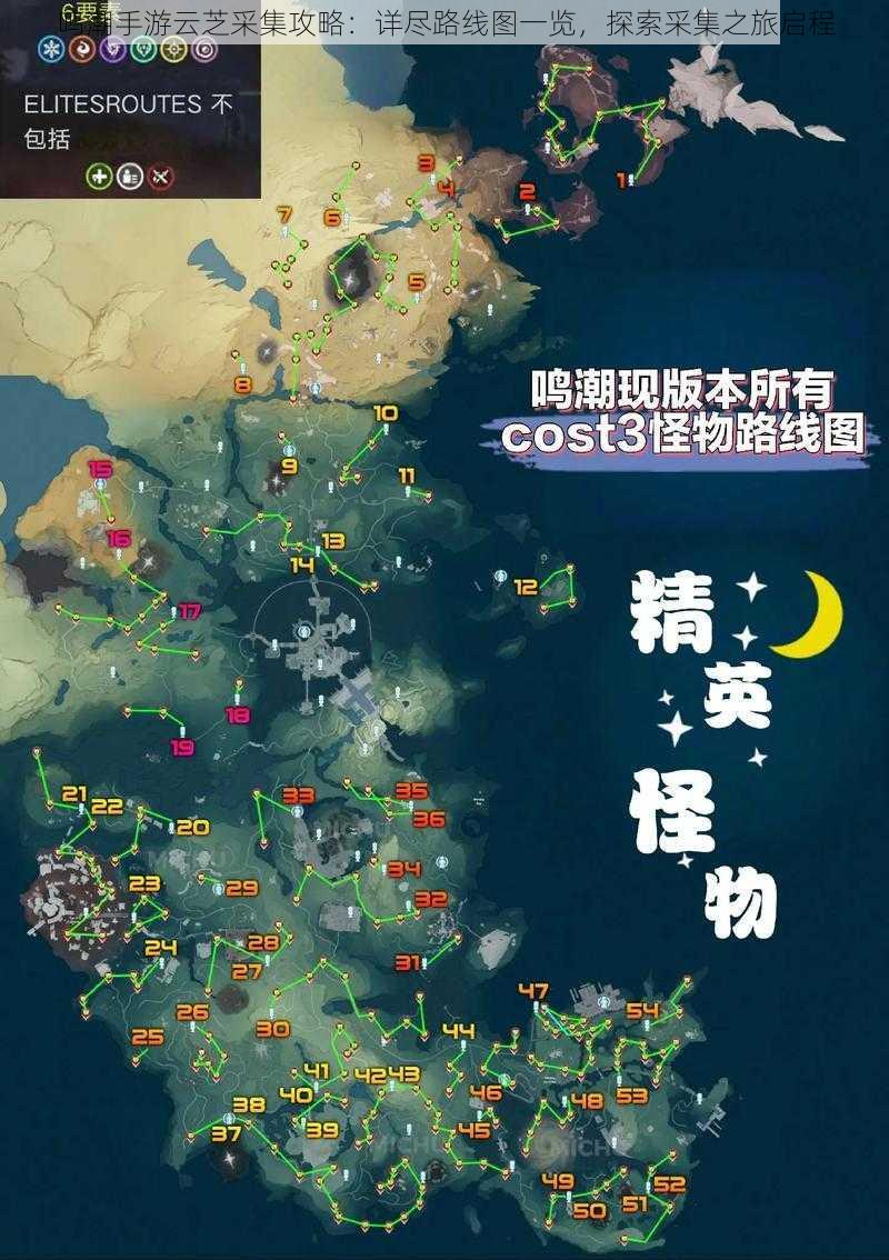 鸣潮手游云芝采集攻略：详尽路线图一览，探索采集之旅启程