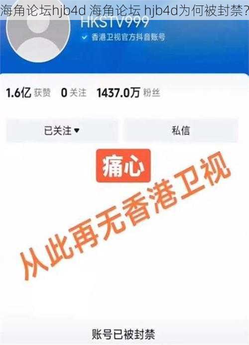 海角论坛hjb4d 海角论坛 hjb4d为何被封禁？