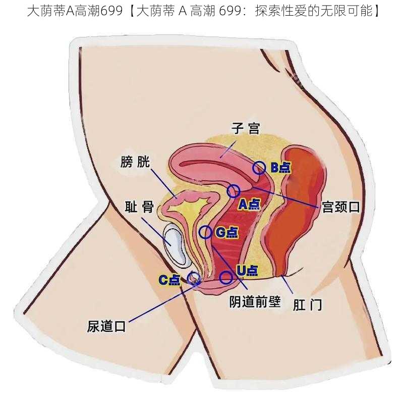 大荫蒂A高潮699【大荫蒂 A 高潮 699：探索性爱的无限可能】