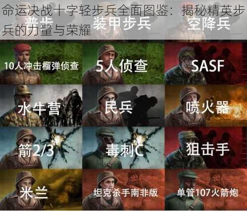 命运决战十字轻步兵全面图鉴：揭秘精英步兵的力量与荣耀