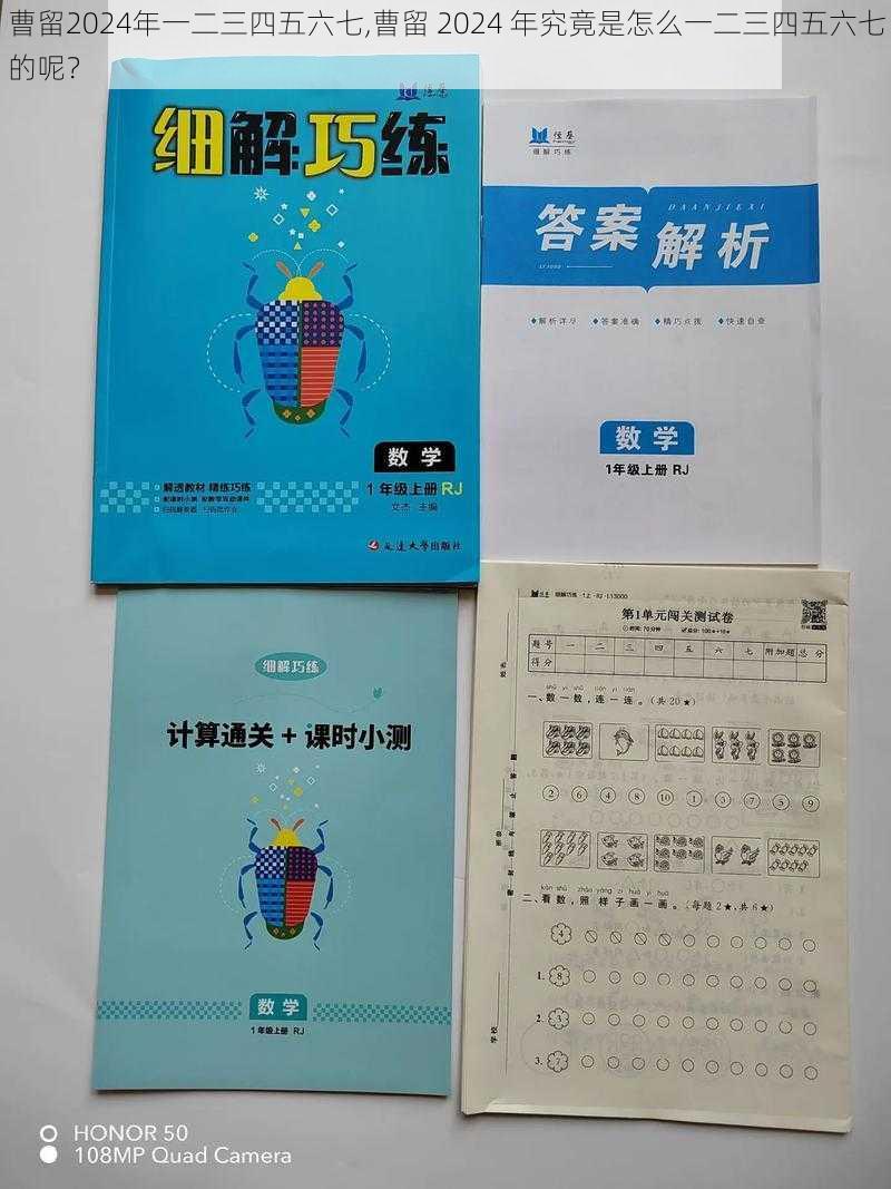 曹留2024年一二三四五六七,曹留 2024 年究竟是怎么一二三四五六七的呢？