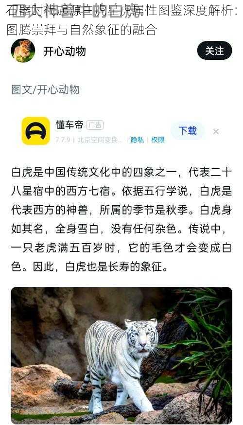 石器时代起源白虎星虎属性图鉴深度解析：图腾崇拜与自然象征的融合