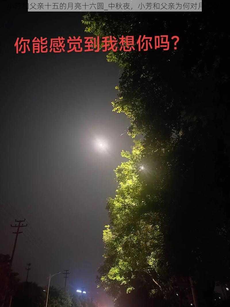 小芳和父亲十五的月亮十六圆_中秋夜，小芳和父亲为何对月感叹？