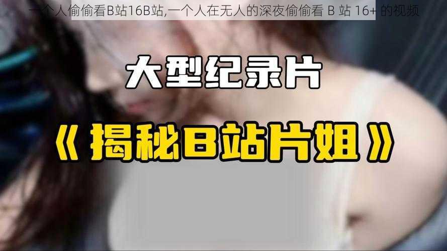 一个人偷偷看B站16B站,一个人在无人的深夜偷偷看 B 站 16+ 的视频