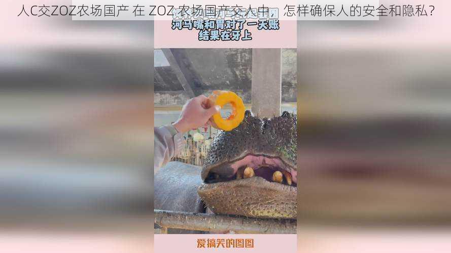 人C交ZOZ农场国产 在 ZOZ 农场国产交人中，怎样确保人的安全和隐私？