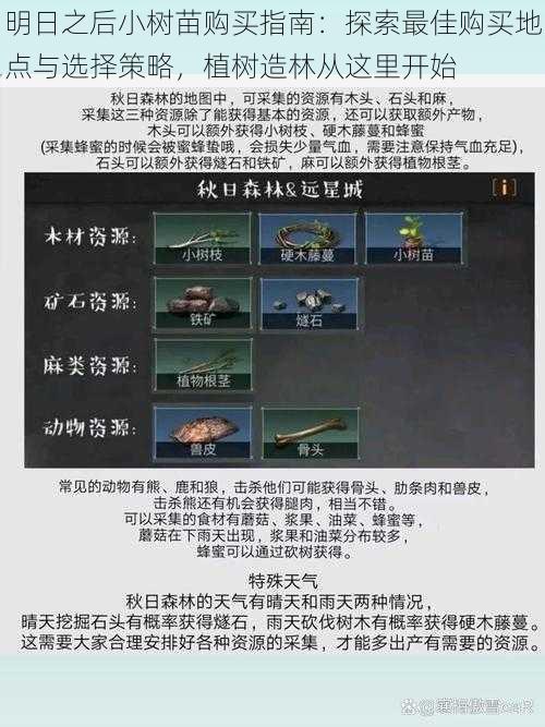 明日之后小树苗购买指南：探索最佳购买地点与选择策略，植树造林从这里开始