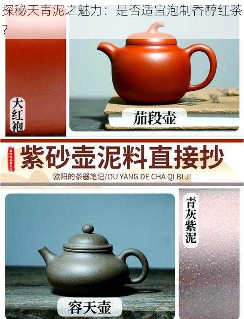 探秘天青泥之魅力：是否适宜泡制香醇红茶？