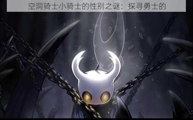 空洞骑士小骑士的性别之谜：探寻勇士的