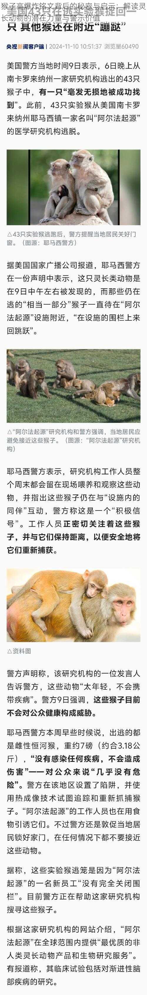 猴子高爆炸铭文背后的秘密与启示：解读灵长动物的潜在力量与警示价值