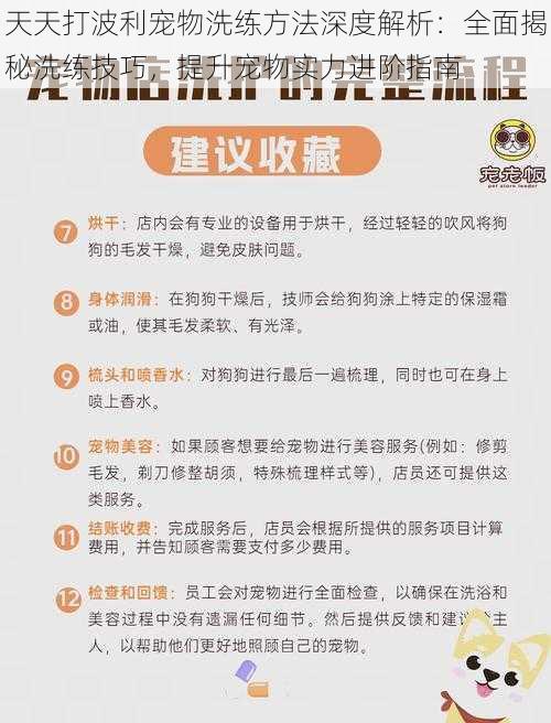 天天打波利宠物洗练方法深度解析：全面揭秘洗练技巧，提升宠物实力进阶指南