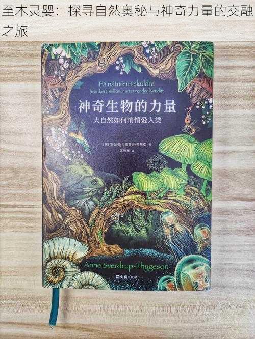 至木灵婴：探寻自然奥秘与神奇力量的交融之旅