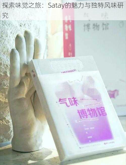 探索味觉之旅：Satay的魅力与独特风味研究