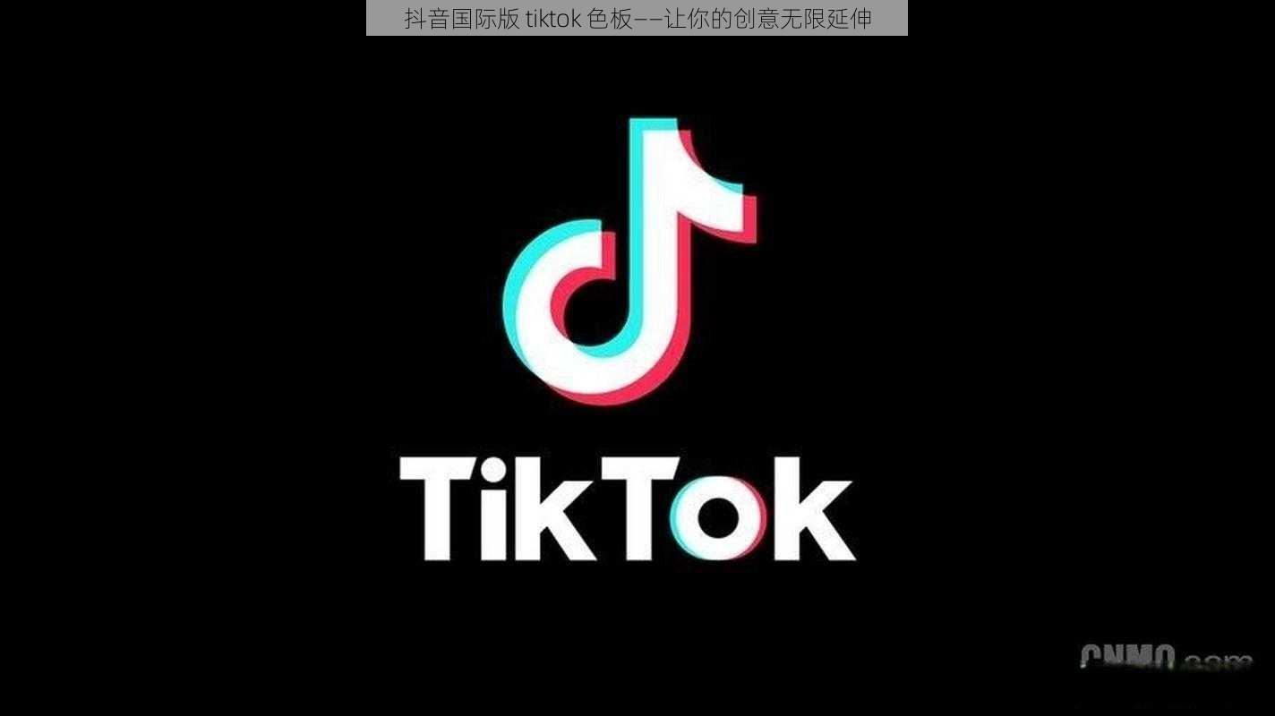 抖音国际版 tiktok 色板——让你的创意无限延伸
